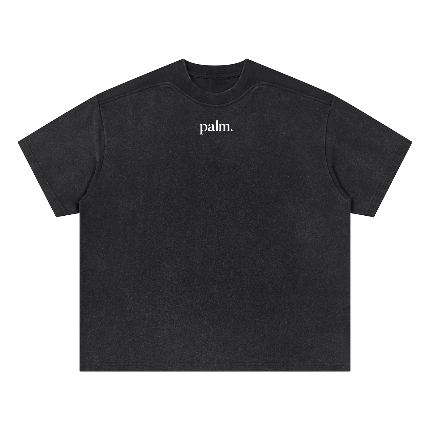 Classic Palm Vintage Wash Tee
