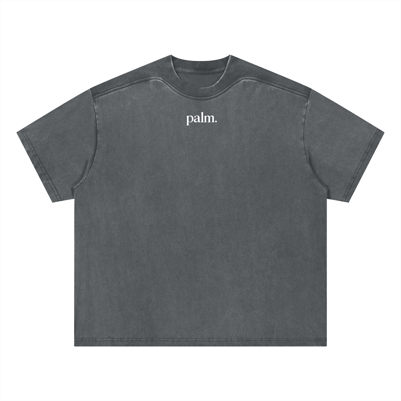 Classic Palm Vintage Wash Tee